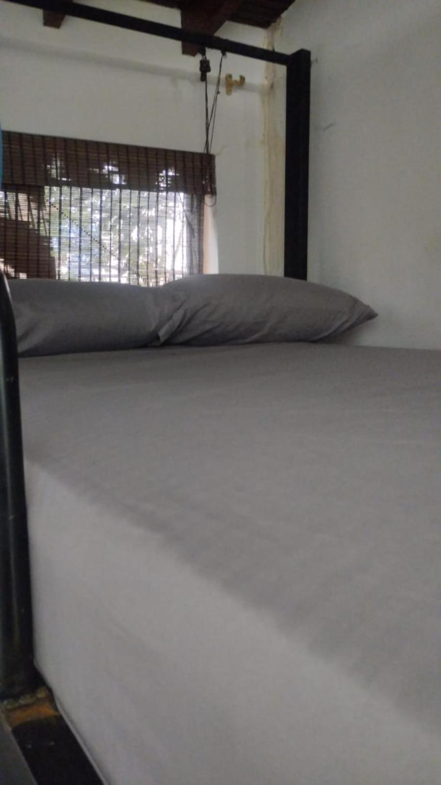 Area 51 Hostel Medellín Extérieur photo